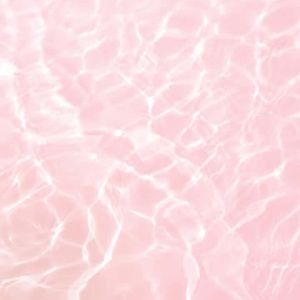 Meet your Posher, Anne